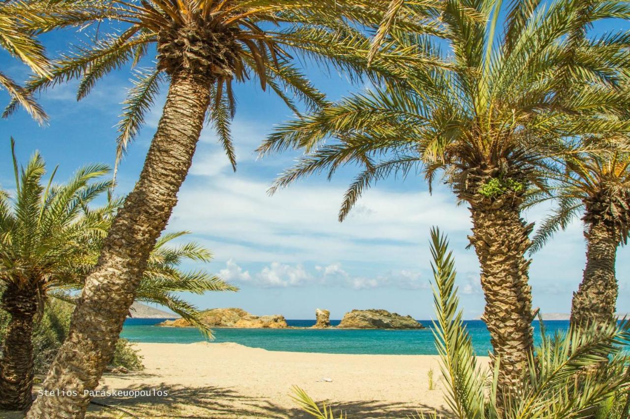 Fedra Apartments, View, Free Parking, 2Mins To Beach パレカストロ エクステリア 写真